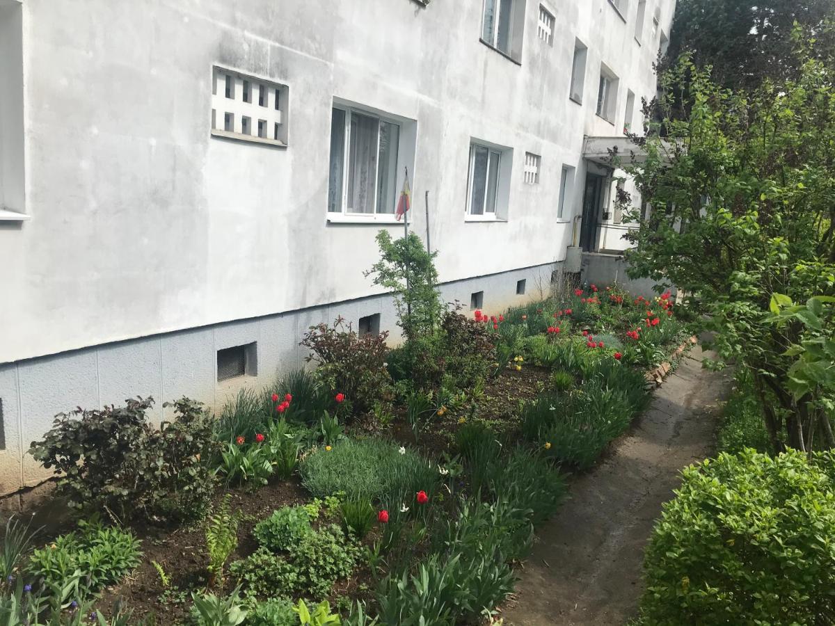 Apartament Colina Cluj-Napoca Buitenkant foto